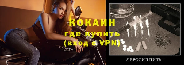 молекула духа Алексин