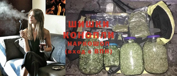 молекула духа Алексин