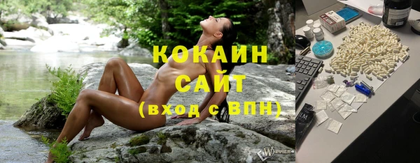 a pvp Алзамай