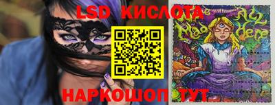 PSILOCYBIN Тверь