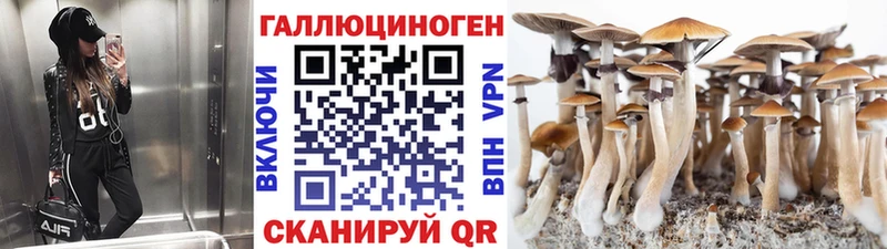Псилоцибиновые грибы MAGIC MUSHROOMS  мега сайт  Темрюк 