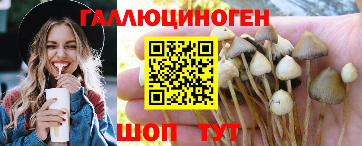 Галлюциногенные грибы MAGIC MUSHROOMS  Псилоцибиновые грибы Magic Shrooms  Вход с VPN  Темрюк 